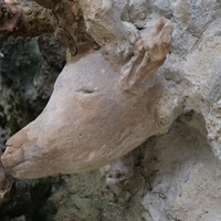 Photo de France - Le Palais idéal du Facteur Cheval